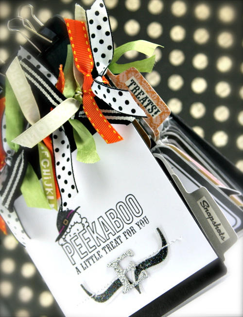 JennB_BootasticAlbum_Detail1