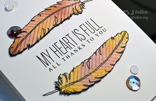 Fair Feathers Close Up {jj bolton}