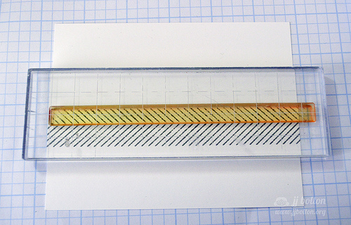 Fair Feathers Steps {jj bolton}